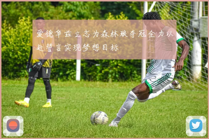 爱德华兹立志为森林狼夺冠全力以赴誓言实现梦想目标