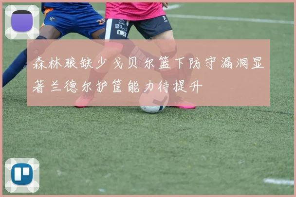 森林狼缺少戈贝尔篮下防守漏洞显著兰德尔护筐能力待提升